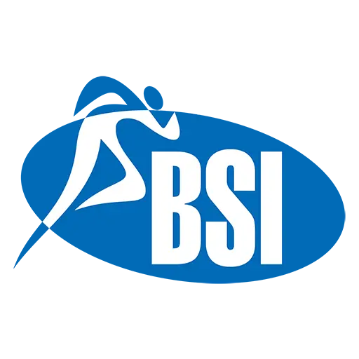 BSI Partner